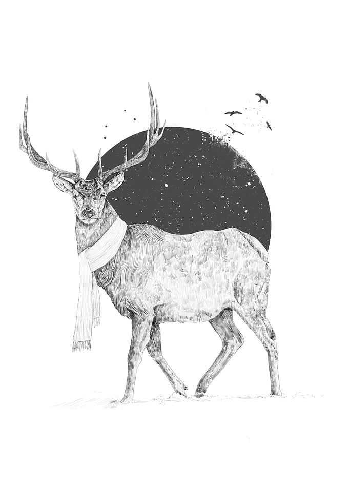 Winter is all around