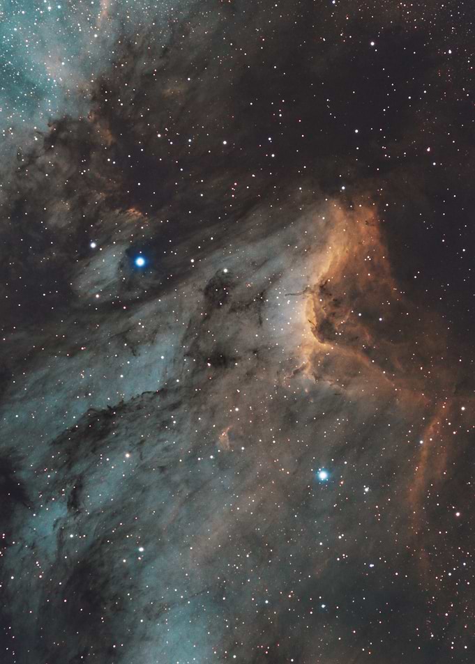 Pelican SHO #2