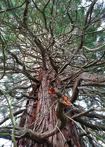 Latest drop