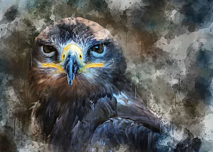 Eagle