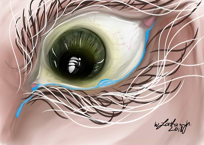 'Visualization'
