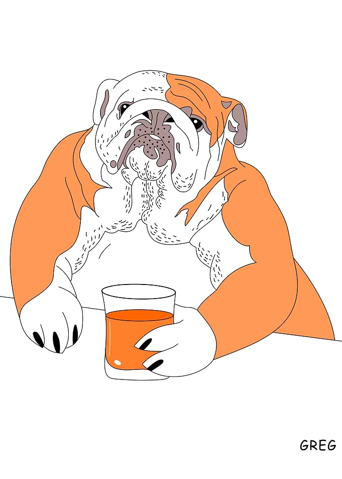 dog drink whiski