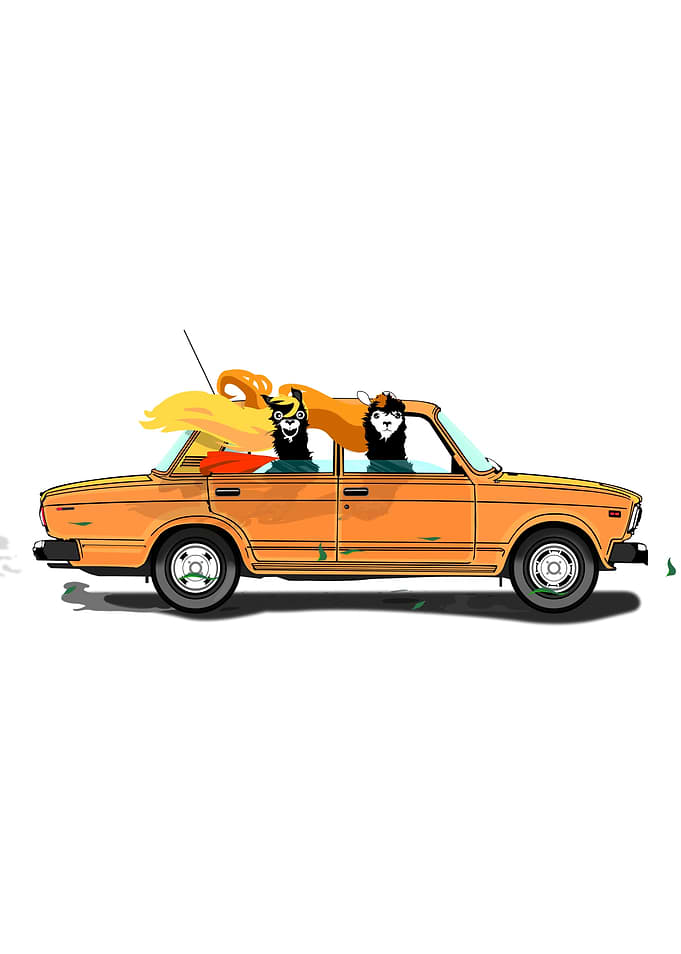 Llamas on a Lada