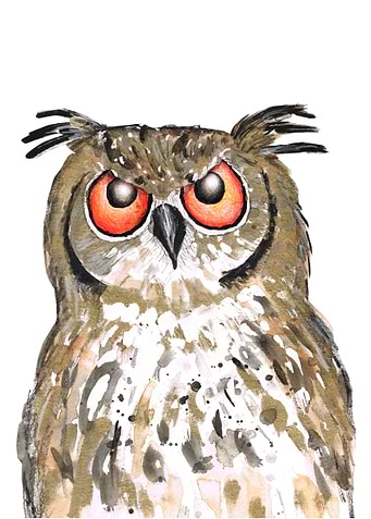 Golden owl
