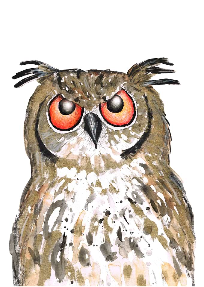 Golden owl