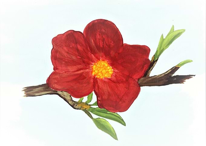Deep Plumb Blossom