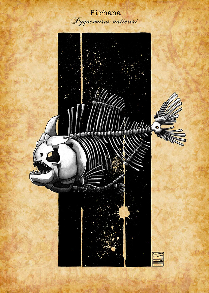 Pirhana Skeleton