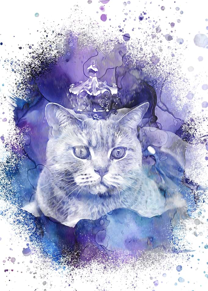 The Kitty King