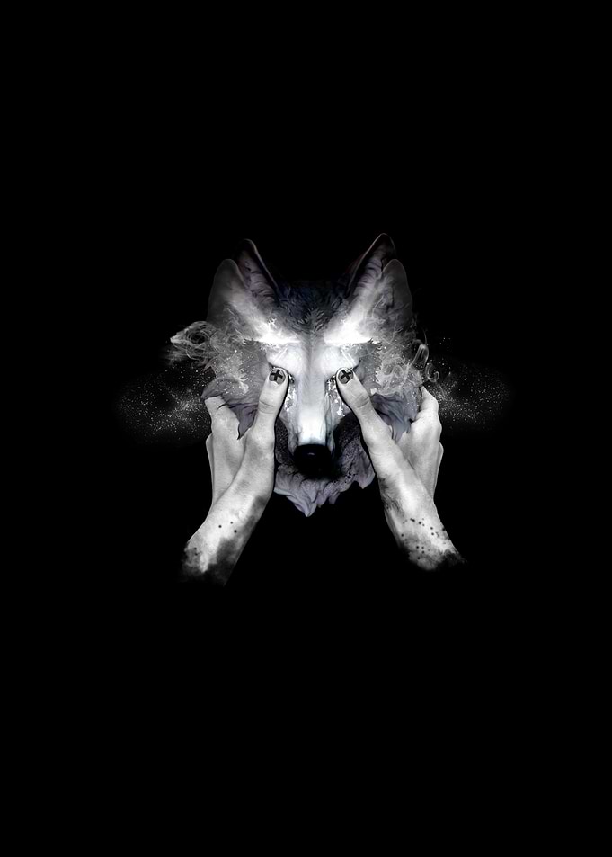 The Cry Wolf