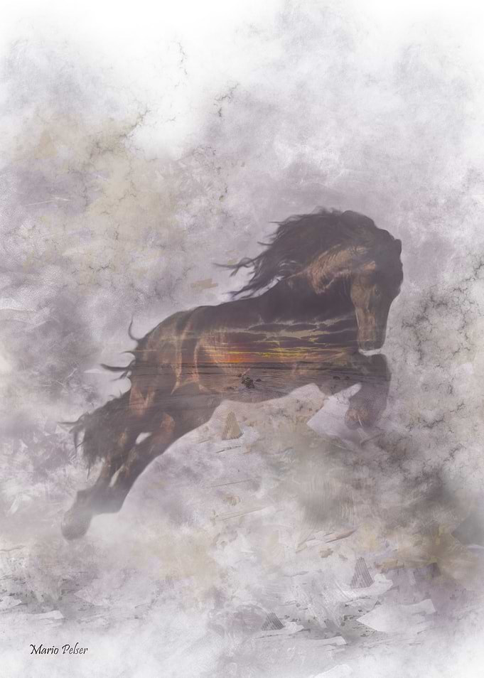 Horse Dreams
