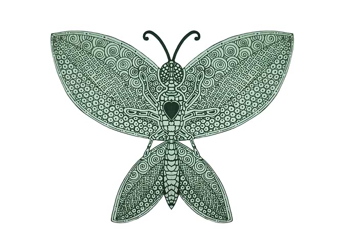 The beautiful butterfly 2