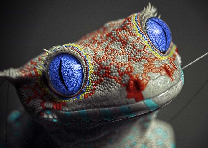 Gecko