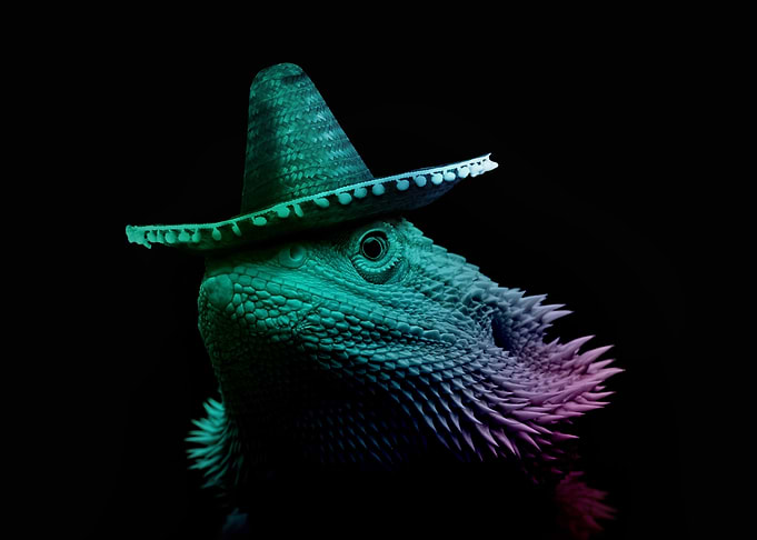 Bearded Dragon