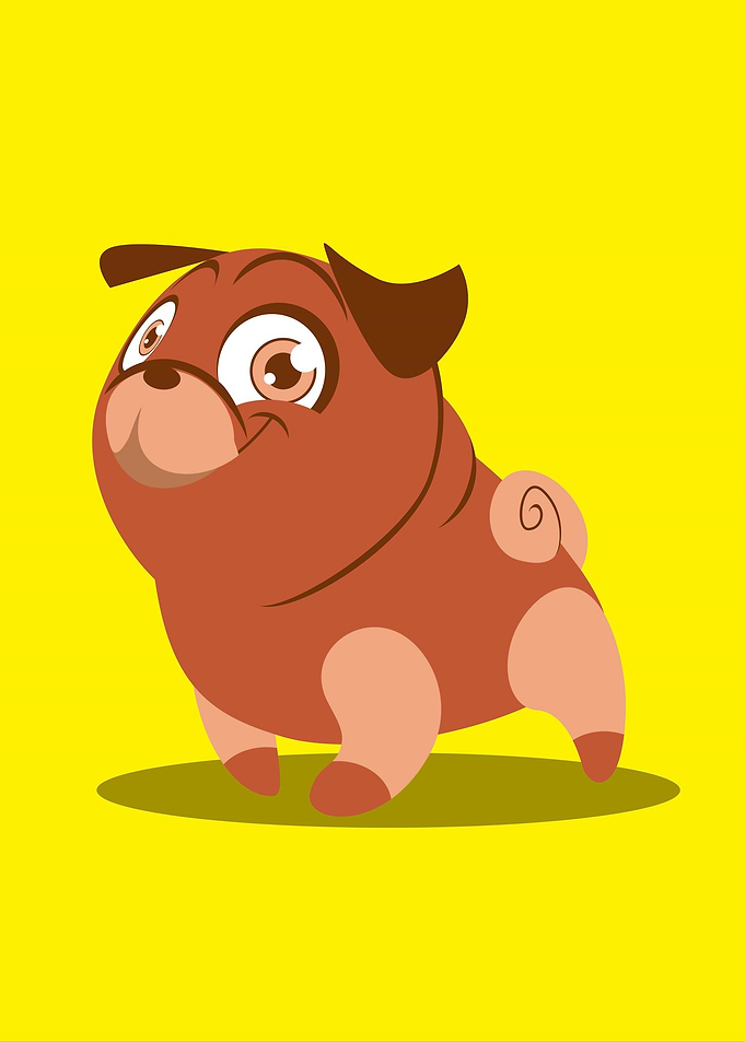 The Little dog