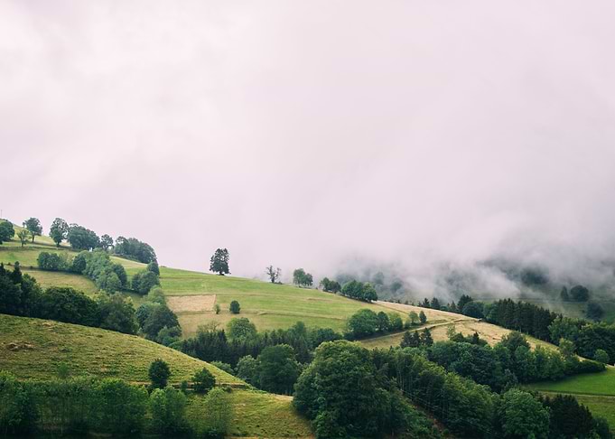 Foggy Hills In Schwarzwald