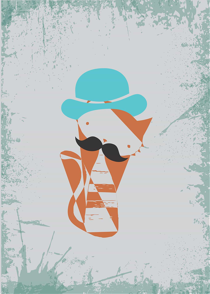 Gato de Chapeu