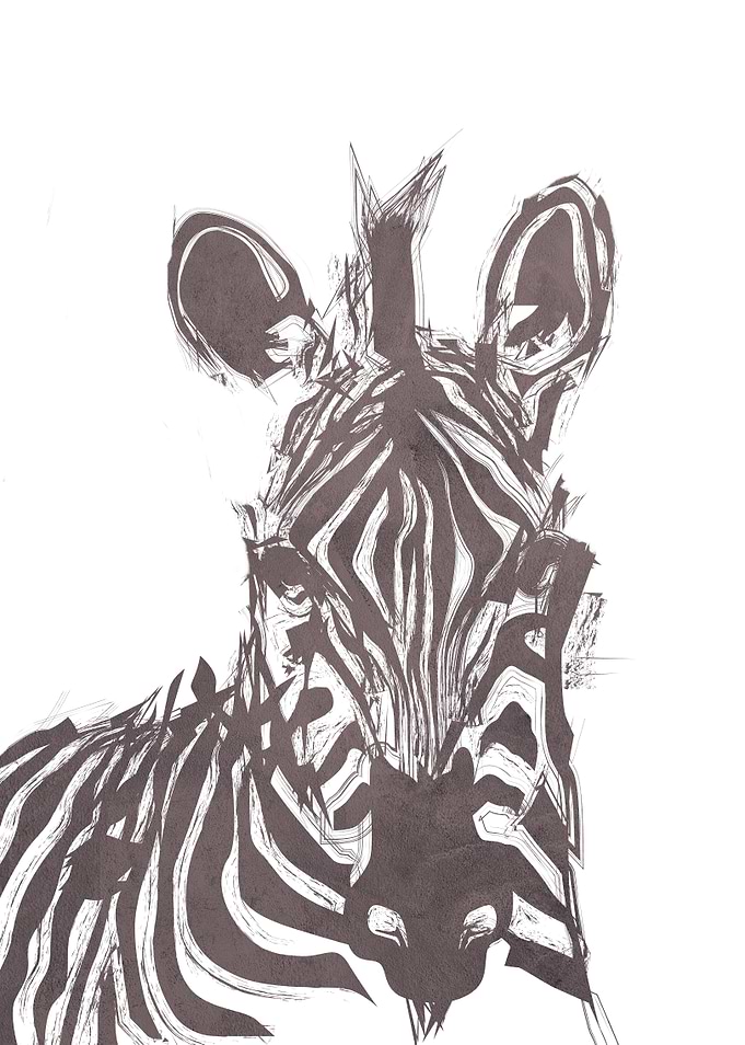 Zebra