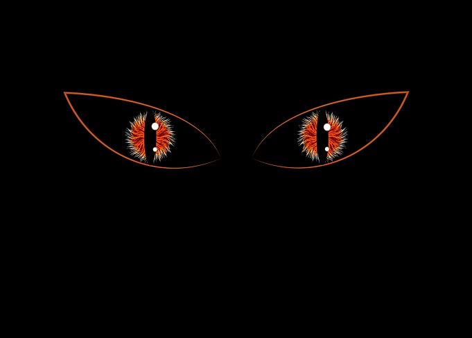 Cat eyes staring