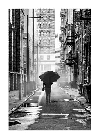 Alley Fog