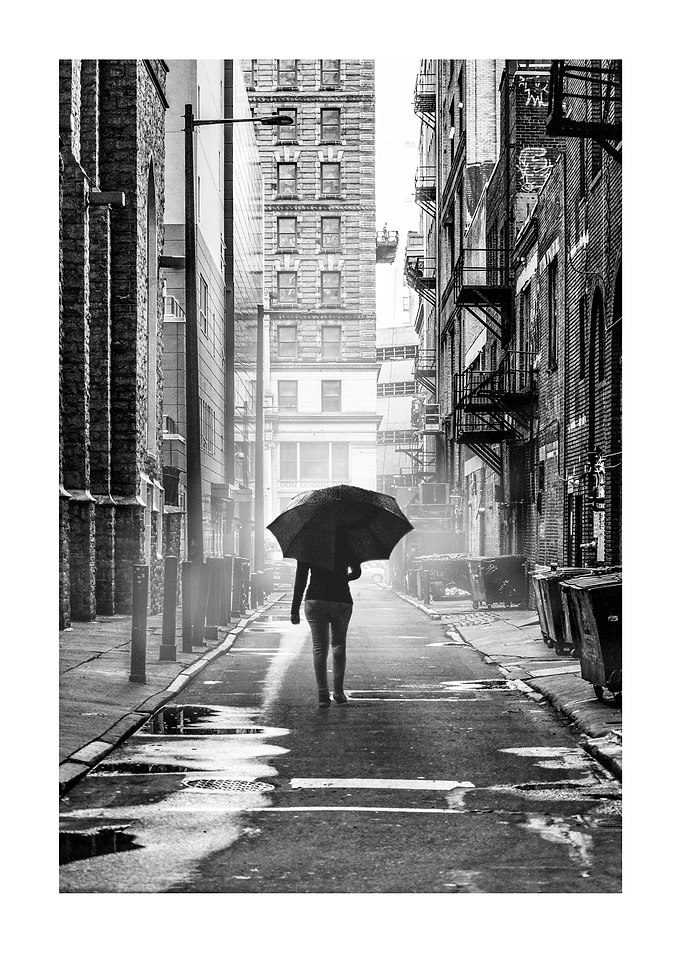 Alley Fog