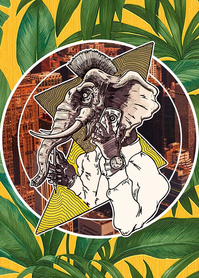 Elephant