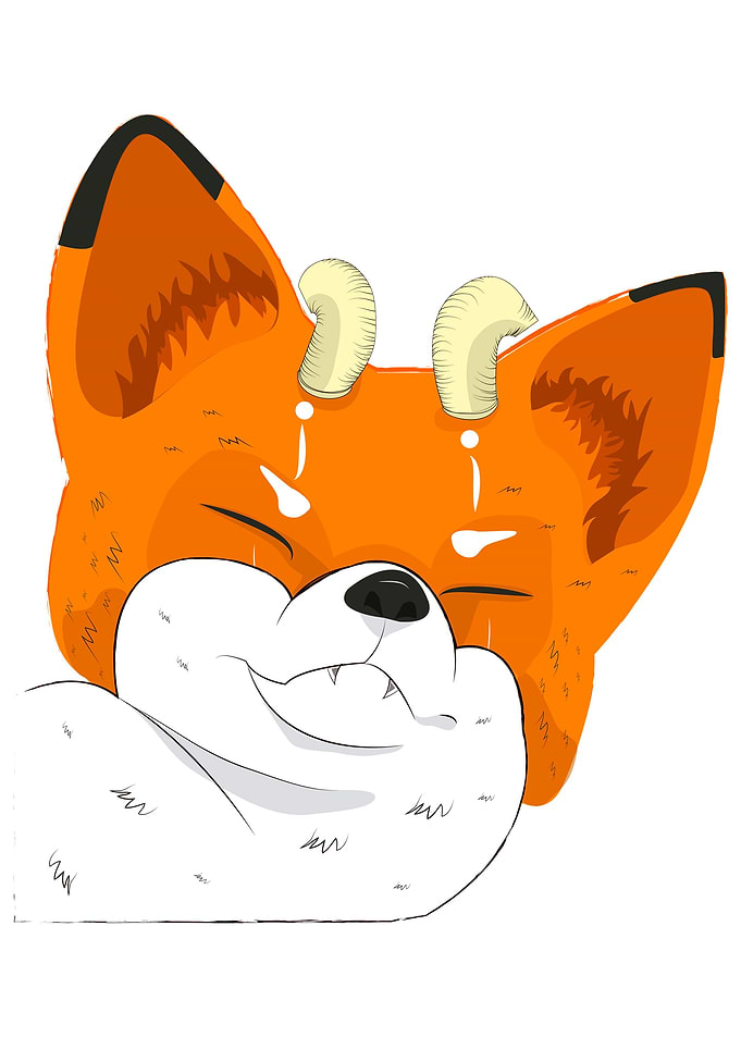 fox sleeping