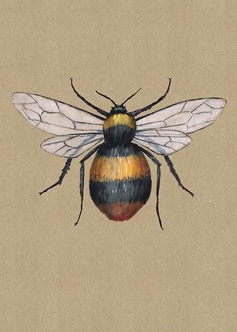 Bumblebee