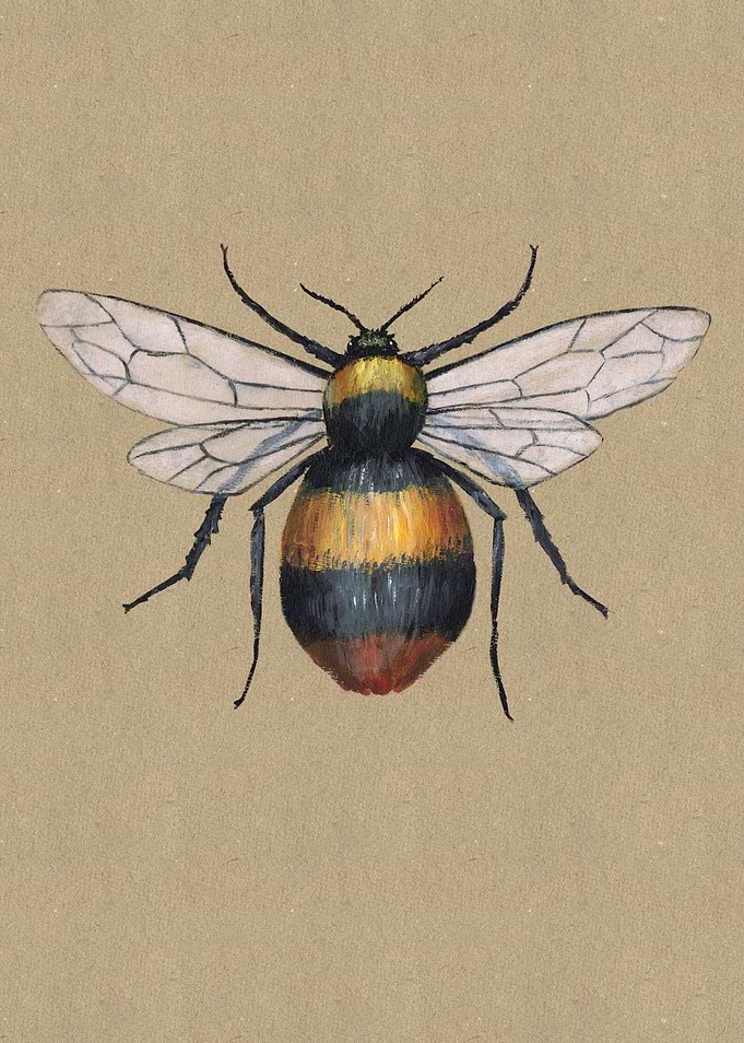 Bumblebee