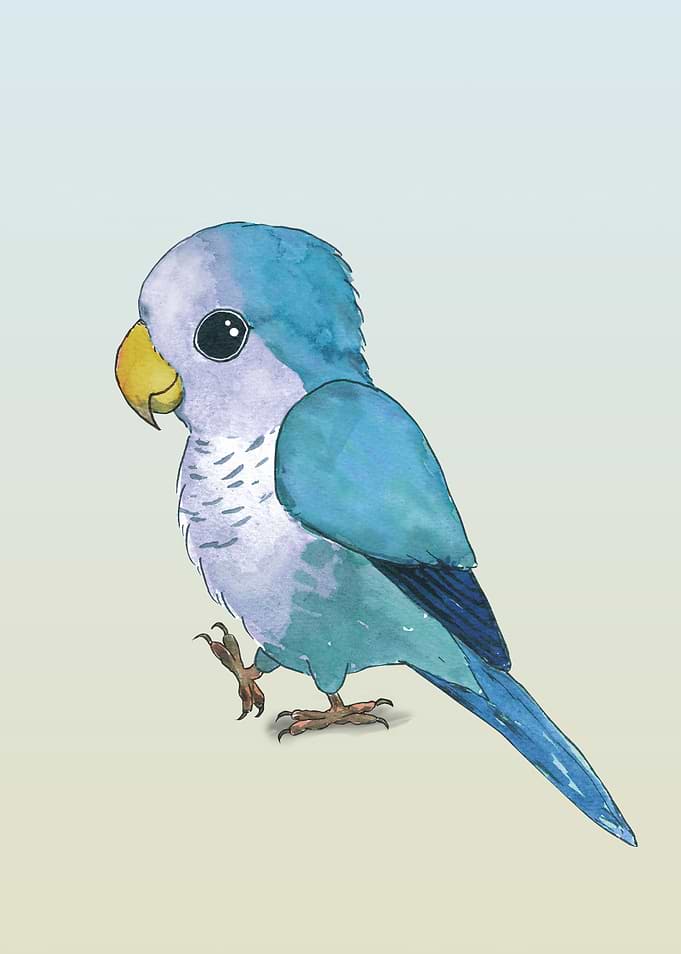 Very cute parrot