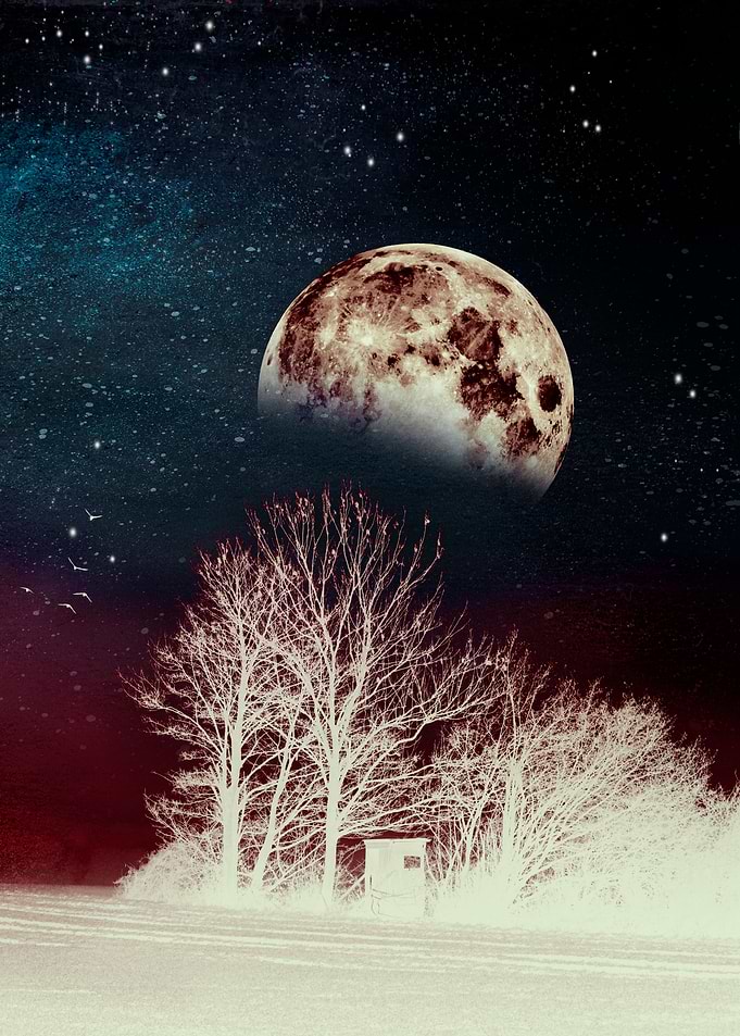 surrender to the night