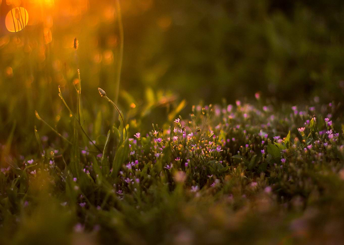 Hidden