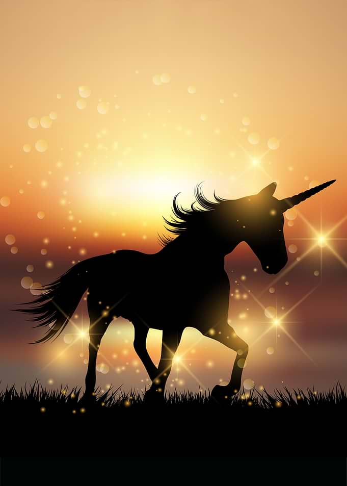 Unicorn Sunset
