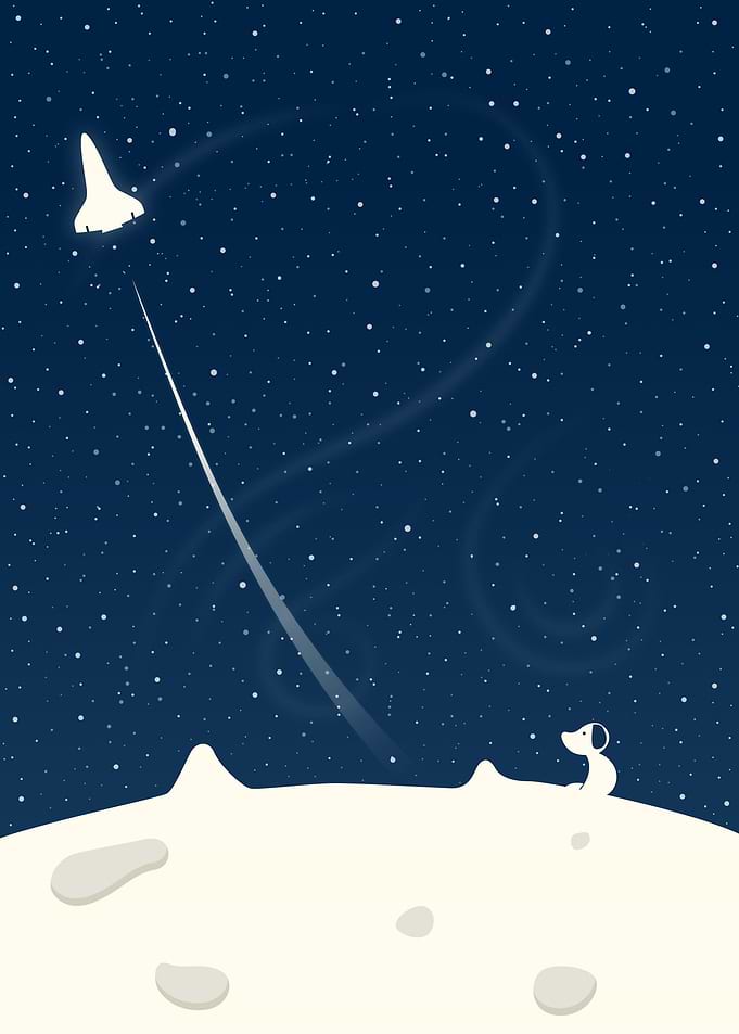 Dog on The Moon