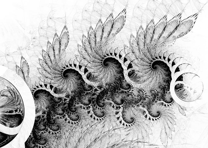 Wings and Waves
