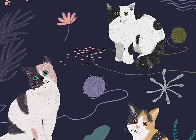 Three Cats