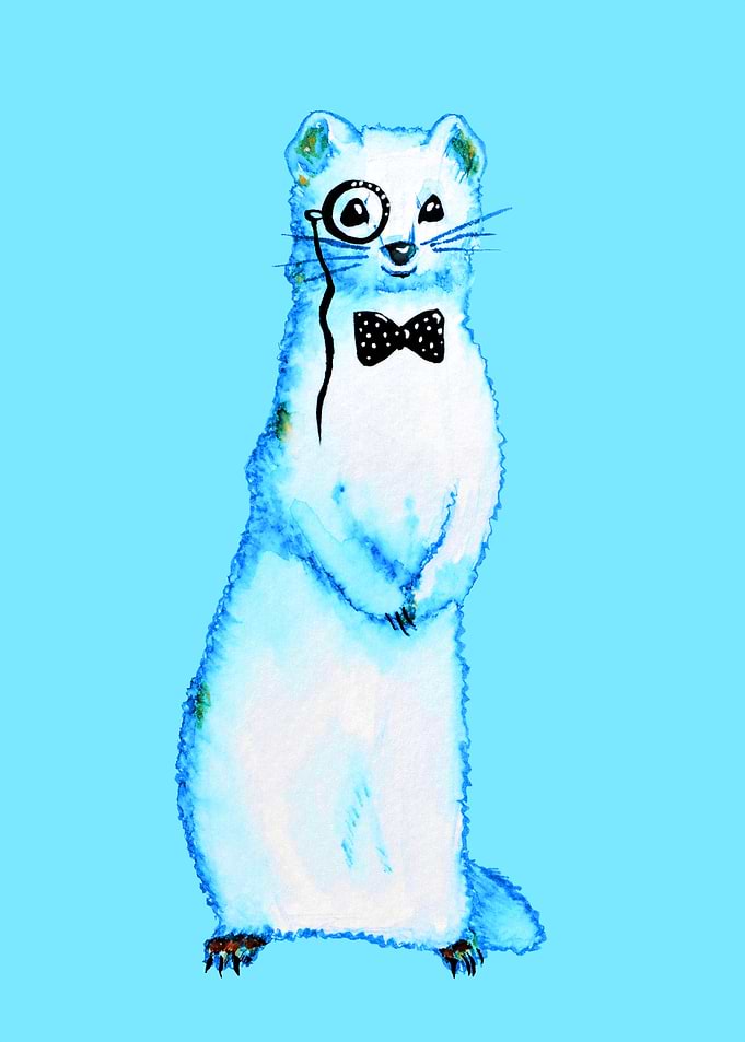 Funny ferret with bow tie