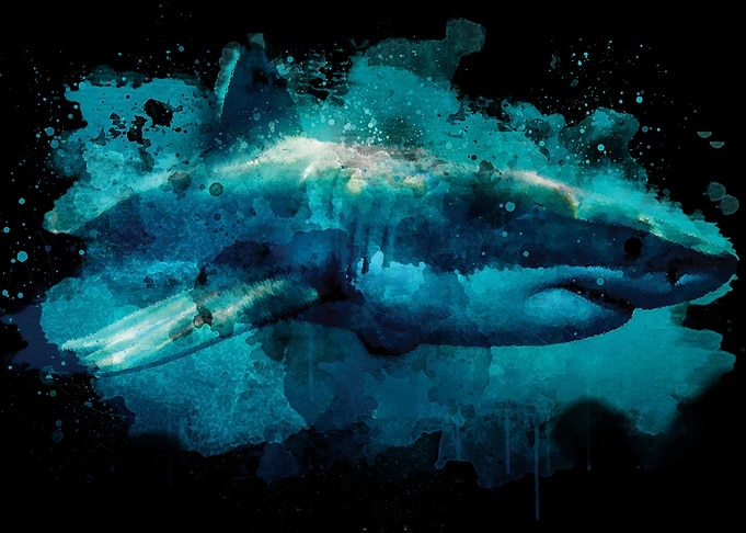 Watercolor Great White Art