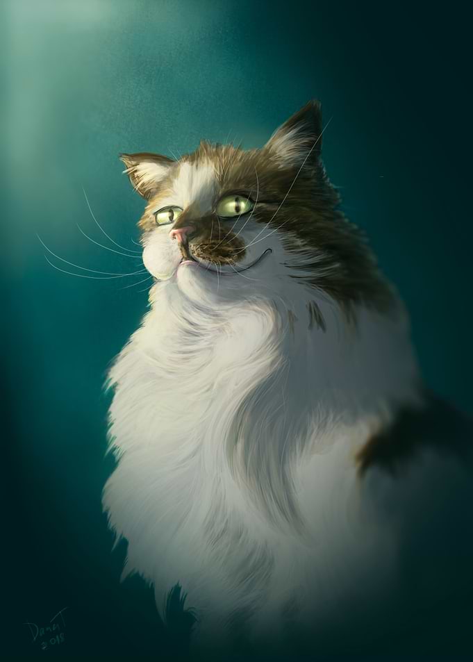 A Sly Cat