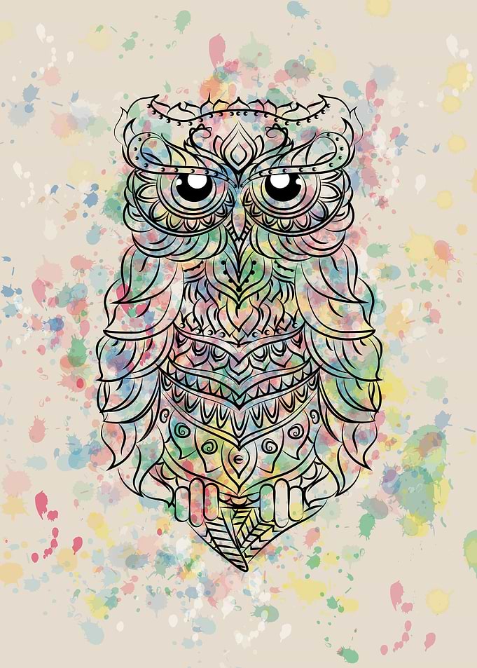 Owl colors