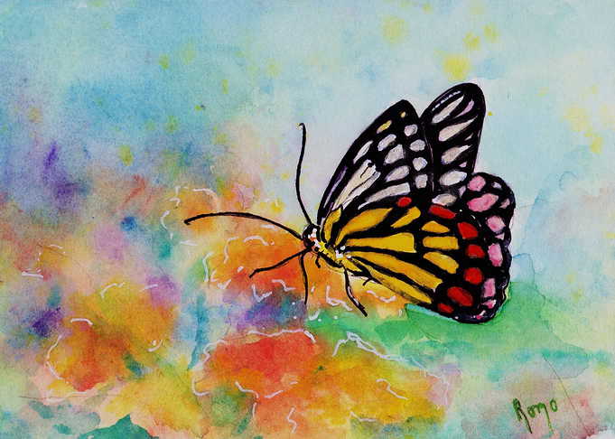 Wings of Delight Butterfly