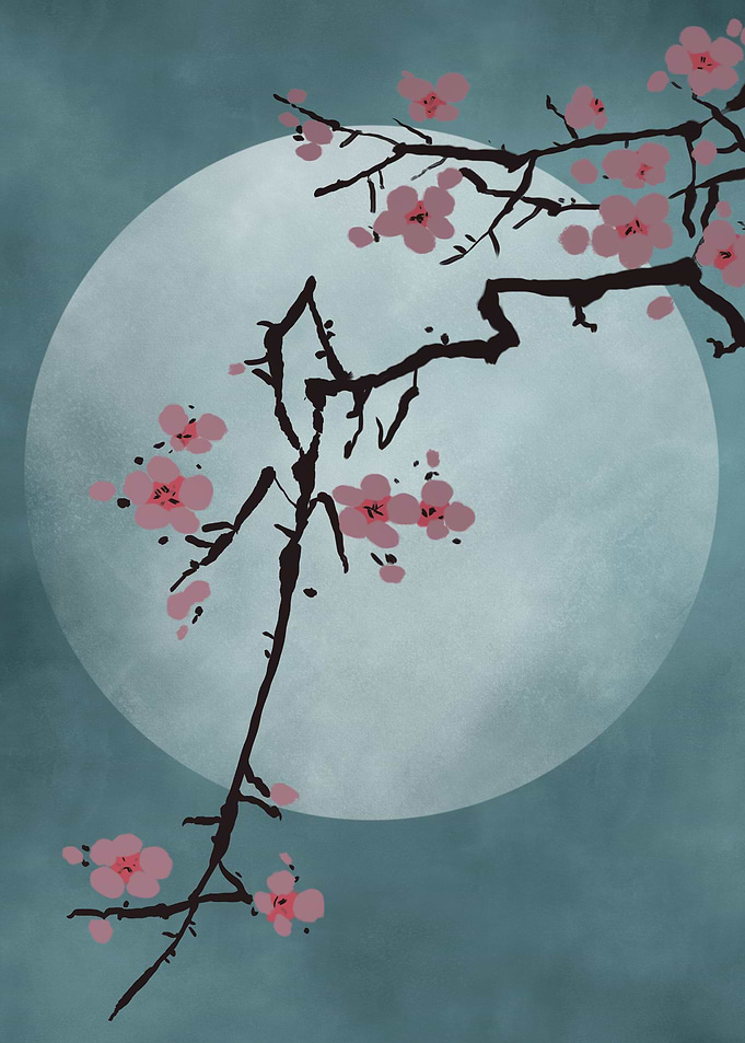 Cherry Blossom 02