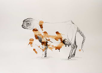 ToBeAnimal