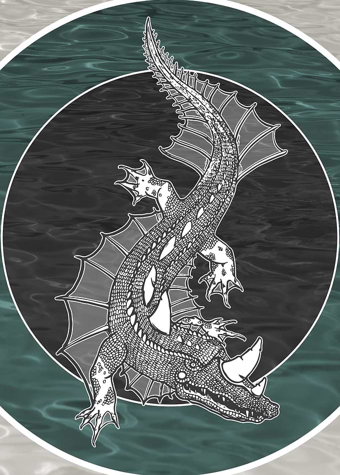 Crocodile
