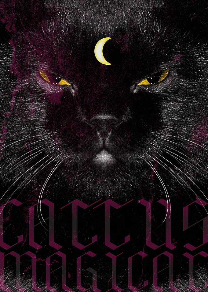 Magic Black Cat
