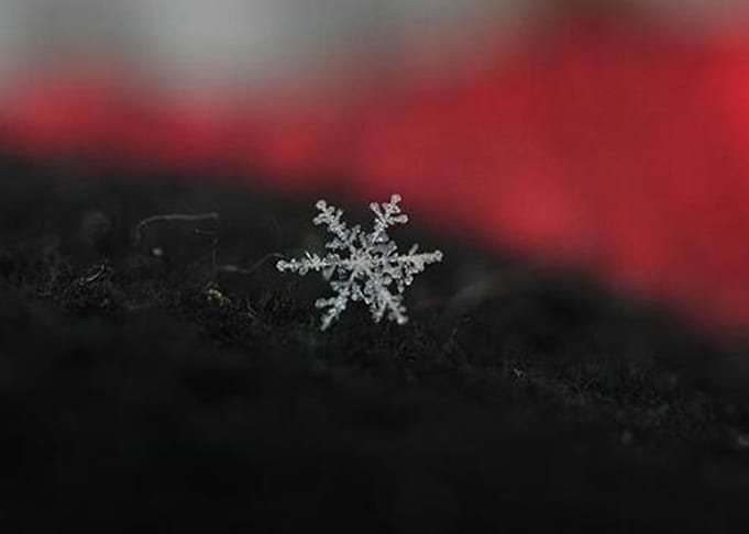 Snow