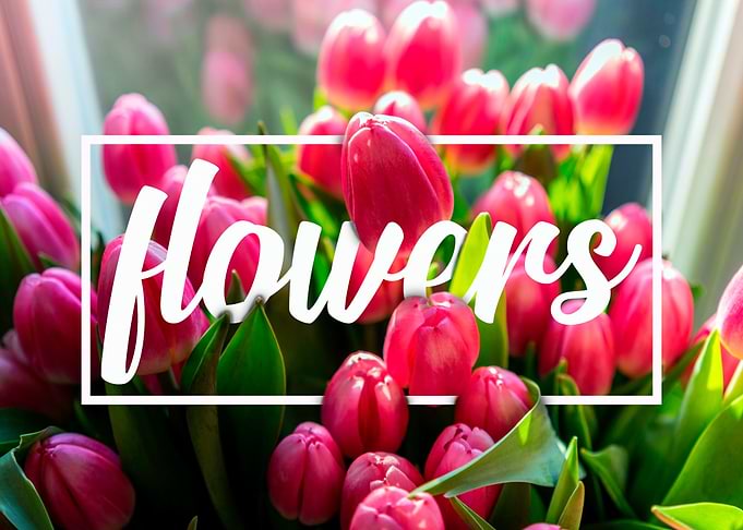 flowers