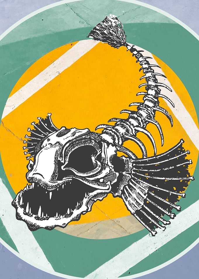 Fish Skeleton