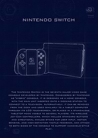 Nintendo Switch Blueprint