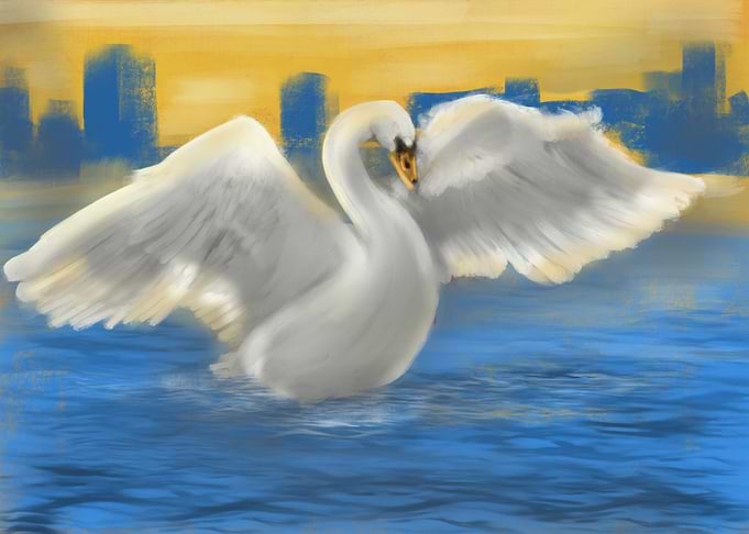 Swan