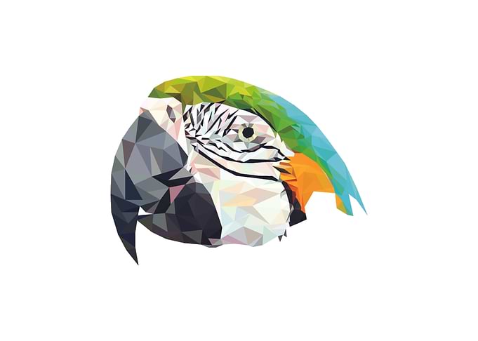 poly parrot